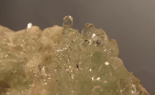 Apophyllite + Thomsonite
Moonen Bay, Isle of Skye, Scotland, UK
12mm crystals
Close-up of the above specimen. Difficult to photograph unless the crystals are in profile. The terminations show pyramidal modification, but none that were found had actual pyramidal terminations. However, the terminations are so clear and mirror-like, it looks like they are pyramidal, because of the optical effect within the crystal. (Author: Mike Wood)