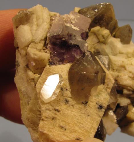 Fluorite, Topaz, Microcline, Smoky Quartz, Albite.
Lundy Island, Devon, England, UK
60mm x 58mm x 21mm
Close up of the above specimen showing the 8mm topaz crystal and the black radiating schorl? crystals. The schorl seems to be partly included within the microcline as well as the smoky quartz and the topaz! (Author: Mike Wood)