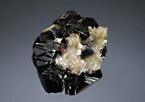 Cassiterite
Mt. Xuebaoding, Pingwu Co., Mianyang Pref., Sichuan Prov., China
3.8 x 4.2 cm
Lustrous black twinned cassiterite crystal with a semi-circular group of muscovite crystals on one side. (Author: crosstimber)