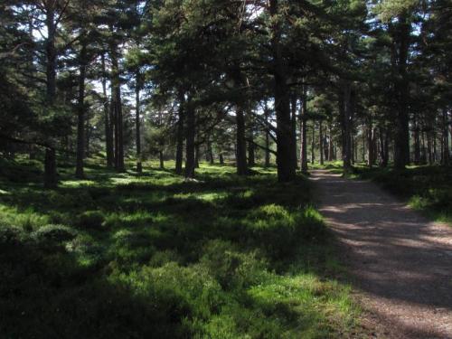 At least there is a good landrover track to follow for the first 5 miles ! (Not allowed to drive up it). (Author: Mike Wood)