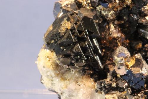 Sphalerite, Galena, Chalcopyrite
2100 foot level, Camp Bird Mine, Ouray, Sneffels District, Ouray Count, Colorado, USA
4.0 x 4.0 x 4.0 cm (Author: Don Lum)