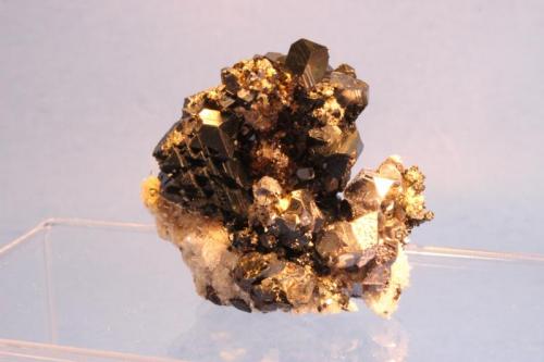 Sphalerite, Galena, Chalcopyrite
2100 foot level, Camp Bird Mine, Ouray, Sneffels District, Ouray Count, Colorado, USA
4.0 x 4.0 x 4.0 cm (Author: Don Lum)