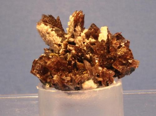 Axinite
Angelina III Mine, Pisco Province, Ica Department, Peru
3.3 x 3.0 x 1.9 cm (Author: Don Lum)