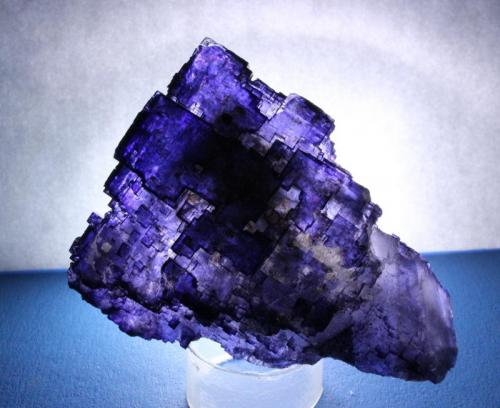 Fluorite
Esperanza Mine near Melchor Muzquiz, Coahuila, Mexico
7.4 x 5.5 cm (Author: Don Lum)