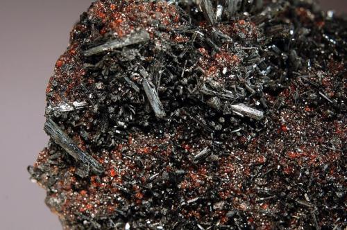 Gaudefroyite
N’Chwaning II Mine, Kuruman, N. Cape Prov., South Africa
7.1 x 10.5 cm
Closer view of above specimen. (Author: crosstimber)