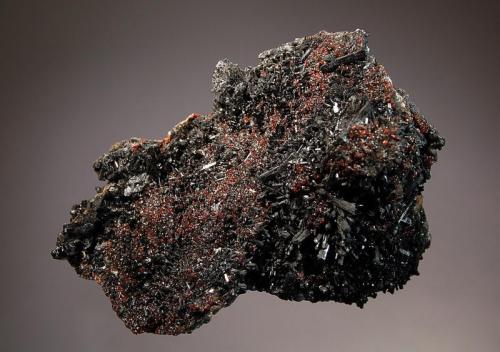 Gaudefroyite
N’Chwaning II Mine, Kuruman, N. Cape Prov., South Africa
7.1 x 10.5 cm
Lustrous black crystals of gaudefroyite covering a druse of dark red andradite crystals. (Author: crosstimber)