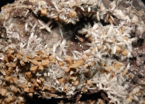 Bultfonteinite
N’Chwaning II Mine, Kuruman, N. Cape Prov., South Africa
5.5 x 10.0 cm, FOV=5.0 cm
Multiple bowtie groups of white, acicular bulfonteinite crystals with blocky, beige-colored olmiite crystals on dark matrix. (Author: crosstimber)