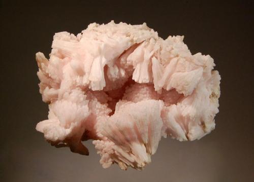 Calcite
Wessels Mine, Hotazel, N. Cape Province, South Africa
8.2 x 9.0 cm
Fan-shaped groups of pink calcite that exhibit intense red fluorescece under SW UV light. (Author: crosstimber)