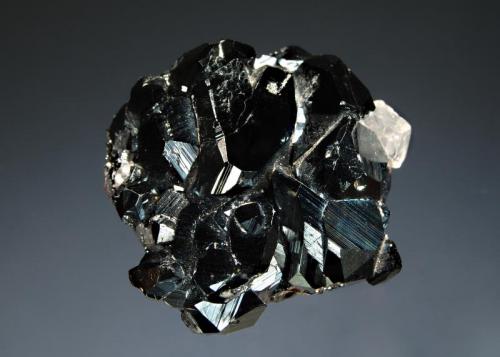 Hematite
N’Chwaning II Mine, Kuruman, N. Cape Province, South Africa
3.9 x 4.0 cm
Lustrous metallic black hematite crystals with a small colorless calcite rhomb. (Author: crosstimber)