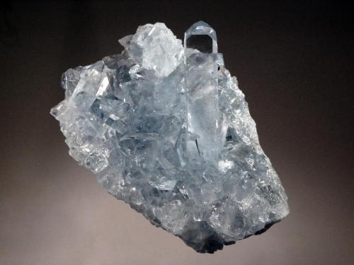 Celestine
Sakoany Deposit, Katsepy Commune, Boeny Region, Majunga Prov., Madagascar
6.5 x 8.0 cm
Glassy transparent blue celestine crystals to 4.0 cm. (Author: crosstimber)