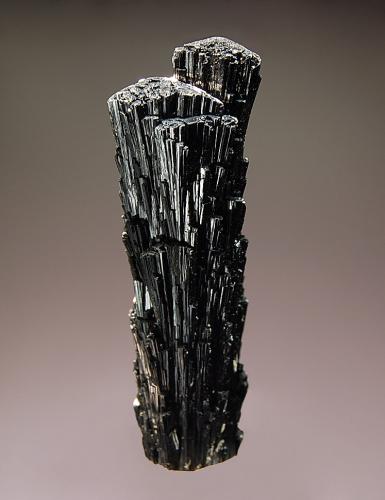 Foitite
Erongo Mts., Erongo Region, Namibia
1.6 x 5.5 cm.
Lustrous black parallel growth clusters of columnar foitite with a light preferential druse of pale gray silica. (Author: crosstimber)