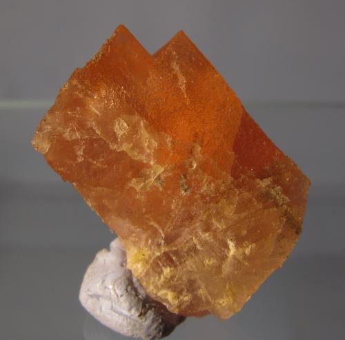 Fluorite
Aiguille du Moine, Mont-Blanc massif, France
25mm x 15mm x 15mm
Same specimen as above (Author: Mike Wood)