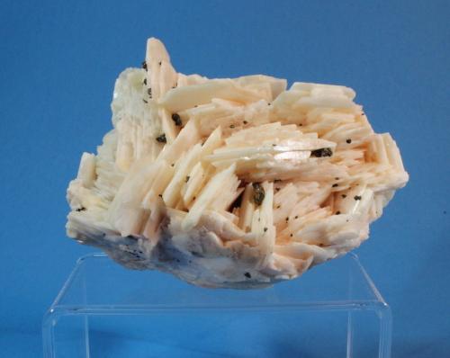 Barite
Julcani Mine, Julcani, Huancavelica, Peru
10 x 7 cm (Author: Don Lum)