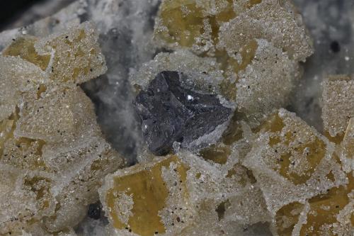 Fluorite, Galena, Quartz
Churprinz Friedrich August Erbstolln Mine , Großschirma, Freiberg District, Erzgebirge, Saxony, Germany

Galena Detail (Author: am mizunaka)