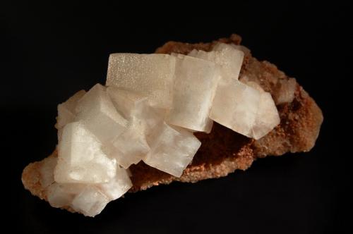 Halite
Wintershall Potash Works, Heringen, Werra Valley, Hesse, Germany,
10.0 x 15.6  cm
Colorless halite cubes to 3.1 cm on edge scattered over a pink halite matrix. Collected in 1966. (Author: crosstimber)