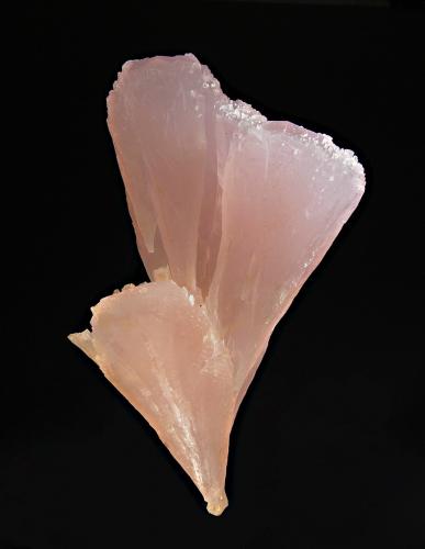 Calcite
Huanggang Mine #5, Chifeng Pref., Inner Mongolia AR, China
9.5 x 16.0 cm
A group of club-shaped manganese-rich calcite crystals. There are small hedenbergite-included quartz crystals on the backside. (Author: crosstimber)