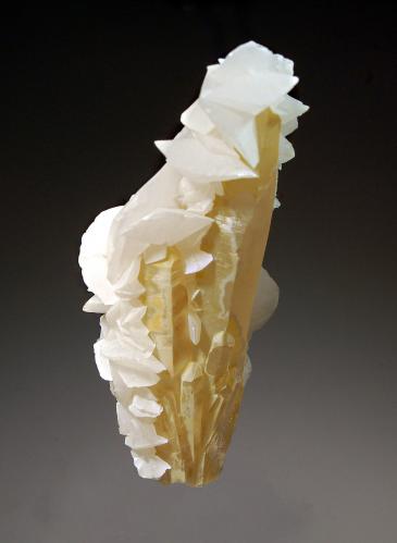 Calcite
Trepca Complex, Kosovska Mitrovica, Kosovo
3.0 x 7.4 cm
A group of pale yellow quartz crystals coated on one side with opaque white calcite rhombs. (Author: crosstimber)