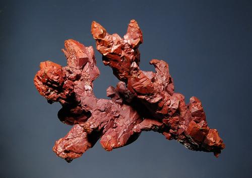 Copper
Poteryaevskoe Mine, Rubtsovskoe Cu-Zn-Pb deposit, Rudnyi Altai, Western-Siberian Region, Russia
5.0 x 6.7 cm
Sharply crystallized arborescent copper.  The crystals are predominantly distorted octahedrons and have a nice reddish cuprite patina (Author: crosstimber)