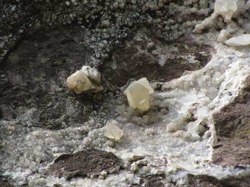 Calcite
Biod a’ Mhurain, Duirinish, Isle of Skye, Scotland
Crystalgroups approx 6cm across
Calcite crystals in-situ, about 6m above the ground and out of reach! (Author: Mike Wood)