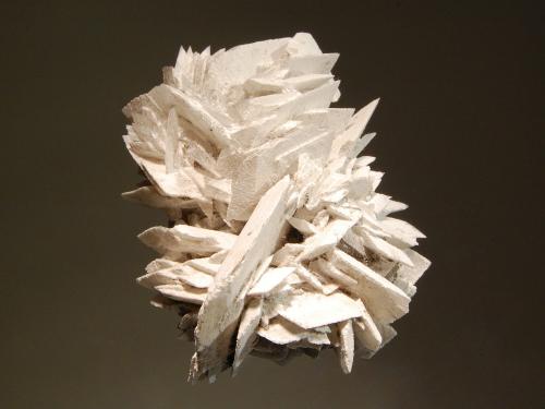 Glauberite
Lake Bumbunga, Lockiel, Mt. Lofty Ranges, South Australia
5.0 x 6.1 cm
An intergrown group of colorless bladed glauberite crystals with a thin white coating of epsomite. (Author: crosstimber)