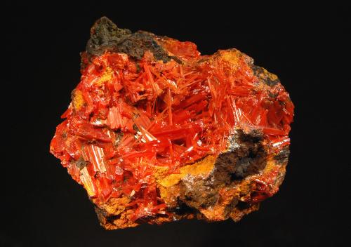 Crocoite
Red Lead Mine, Dundas Mineral field, Zeehan District, Tasmania, Australia
5.8 x 6.7 cm
Bright red-orange crocoite crystals on a brown gossan matrix. (Author: crosstimber)