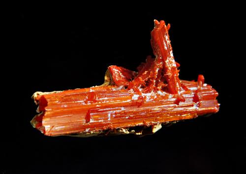 Crocoite
Adelaide Mine, Dundas Mineral field, Zeehan District, Tasmania, Australia
1.5 x 4.3 cm
Doubly-terminated, crocoite crystal with a hoppered termination and a partial coating of yellowish-gray gibbsite. (Author: crosstimber)