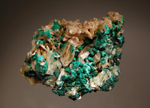 Cerussite
Brown’s Prospect, Rum Jungle, Batchelor, Northern Territory, Australia
7.1 x 8.2 cm
Pale yellowish-brown to cream-colored crystals of cerussite associated with velvety green botryoidal malachite. (Author: crosstimber)