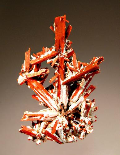 Crocoite
Adelaide Mine, Dundas, Tasmania, Australia
4.6 x 7.7 cm
Reddish-orange aggregate of prismatic crocoite crystals with hollow 
terminations and partially covered with gray-white gibbsite. (Author: crosstimber)