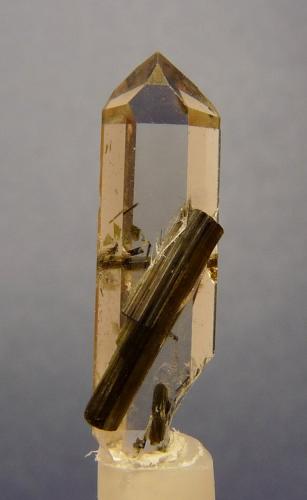 Quartz and tourmaline.
Karoi,  Mashonaland West, Zimbabwe
25 x 08 x 06 mm (Author: Pierre Joubert)