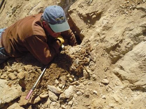 Crystals as far as one’s arm can reach.  If the pocket continues then Foster will remove more of the rock covering it. (Author: John S. White)