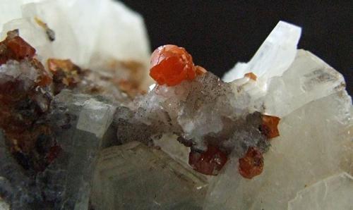 Mimetite (Var Campylite) on Baryte.
Dry Gill, Caldbeck Fells, Cumbria, England, UK.
Campylite to 4 mm (Author: nurbo)