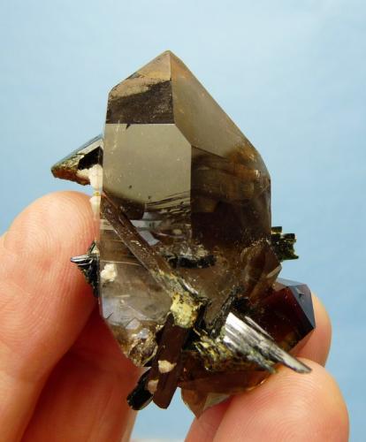 Quartz var. smoky and Aegirine
Mount Malosa, Zomba, Malawi.
57 x 40 x 36 mm
Same as above. (Author: Pierre Joubert)