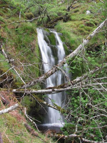 Ben Loyal, Sutherland, Scotland
There are some rather nice though modest waterfalls. The water tastes really good and pure. (Author: Mike Wood)