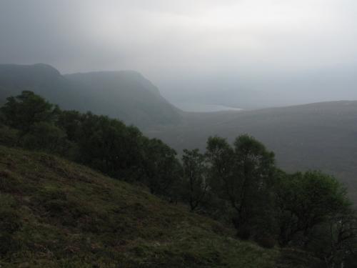 Ben Loyal, Sutherland, Scotland
At the foot of the mountain the angle changes abruptly. Looking south towards the woods where I was attacked by ’deer flies’ last time I was here. There is a belt of lovely silver birch trees along the lower slopes of the mountain, mainly on the west side. (Author: Mike Wood)