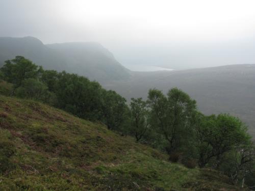 Ben Loyal, Sutherland, Scotland
Deerfly country (in September anyway). (Author: Mike Wood)