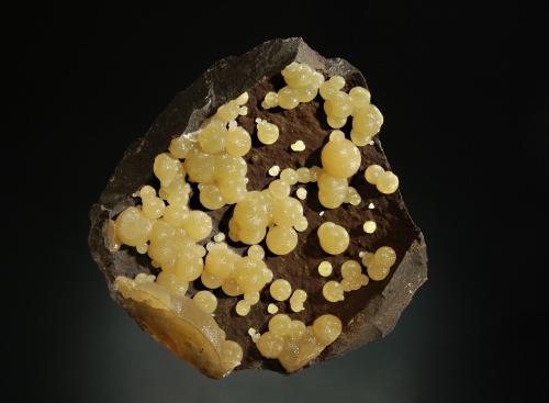 Calcite
Campomorto Quarry, Pietra Massa, Viterbo Prov., Latium, Italy
8.0 x 8.0 cm
Greenish-yellow chatoyant spherical calcite groups scattered over a gray basalt-like matrix. (Author: crosstimber)