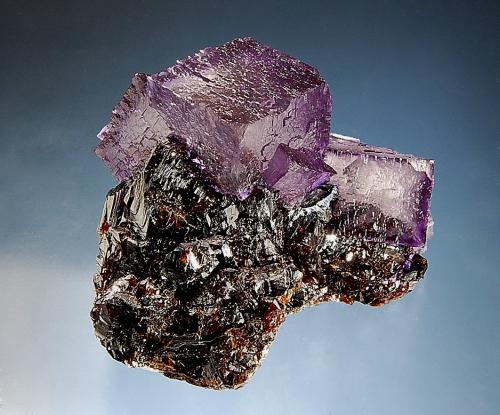 Fluorite
Elmwood Mine, Carthage, Smith County, Tennessee, USA
6.0 x 6.0 cm
Lustrous purple fluorite cubes with a mosaic surface texture resting on lustrous brown sphalerite crystals. (Author: crosstimber)