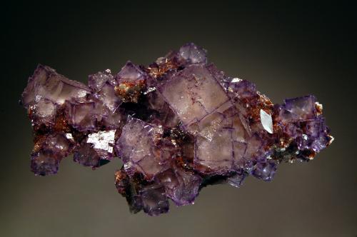 Fluorite
Elmwood Mines, Carthage, Smith Co., Tennessee, USA
7.0 x 12.5 cm
Combination of light purple fluorite with pale yellow centers and purple rims, reddish-brown sphalerite, and a single small colorless calcite. (Author: crosstimber)