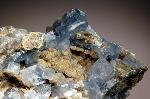 Celestine
Meckley Quarry, Mandata, Northumberland Co., Pennsylvania, USA
Overall size 7.0 x 9.0, FOV~5.5 cm
Blocky blue celestine crystals on druzy quartz lining cavities in light brown limestone. (Author: crosstimber)