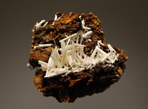 Cerussite
Pentire Glaze Mine, Polzeath, St. Minver, Cornwall, England
5.3 x 5.6 cm
A jackstraw arrangement of white cerussite crystals on a brown gossan matrix. (Author: crosstimber)