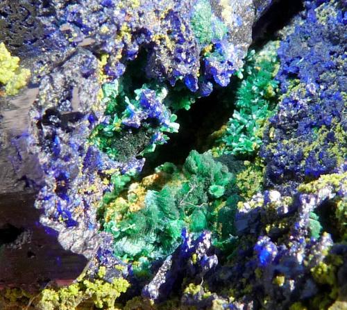 Azurite, malachite and duftite.
Tsumeb, Namibia
59 x 38 x 33 mm
Same as above. (Author: Pierre Joubert)