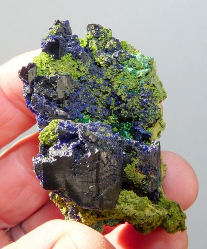 Azurite, malachite and duftite.
Tsumeb, Namibia
59 x 38 x 33 mm
Same as above. (Author: Pierre Joubert)