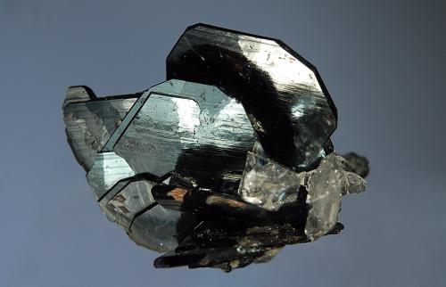 Hematite
Cavradi Gorge, Curnera Valley, Tujetsch, Grischun, Switzerland
3.0 x 4.2 cm
A small group of lustrous, bladed, metallic black hematite crystals associated with small transparent quartz crystals and epitactic rutile crystals. Collected 6-04-97 by Swiss strahler Theodosi Venzin. (Author: crosstimber)