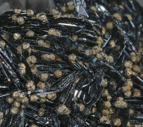 Quartz, Hematite, Pyrite
Cleator Moor, West Cumberland Iron Field, North and Western Region, Cumbria, England, UK
Detail (Author: am mizunaka)