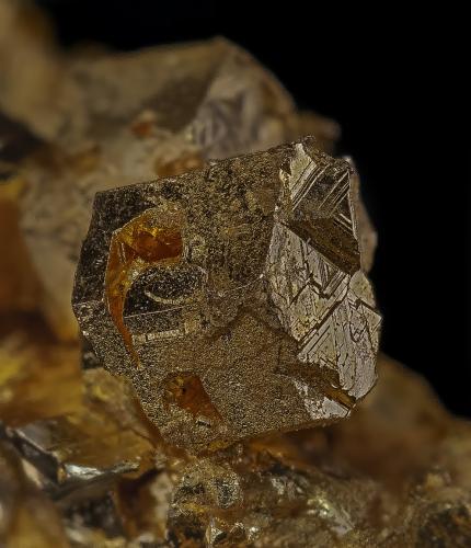 Gold<br />North Fork, Río Yuba, Arroyo Opposite Milton, Sierra City, Condado Sierra, California, USA<br />Crystal Detail<br /> (Author: am mizunaka)