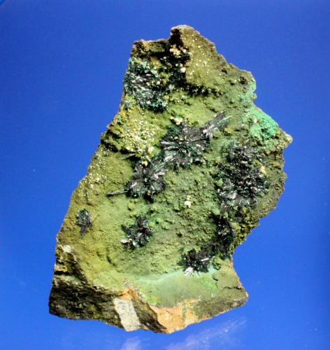 Atacamite<br />Provincia Copiapó, Región Atacama, Chile<br />9.5 x 6.7 cm<br /> (Author: Don Lum)