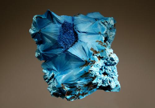 Shattuckite<br />Mina Tantara, Shinkolobwe, Cinturón de cobre de Katanga, Katanga (Shaba), República Democrática del Congo (Zaire)<br />5.7 x 6.1 cm<br /> (Author: crosstimber)