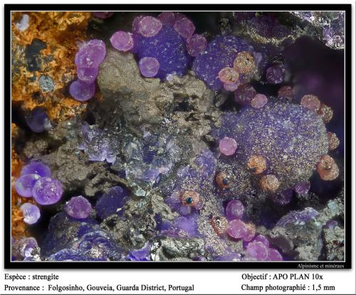 Strengite<br />Folgosinho, Gouveia, Distrito Guarda, Región Centro, Portugal<br />fov 1.5 mm<br /> (Author: ploum)