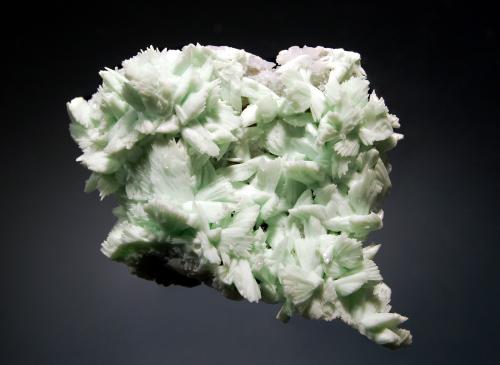 Hemimorphite and hydroxylapatite coating tarbuttite<br />Mina Skorpion, Rosh Pinah, Distrito Lüderitz, Region ǁKaras, Namibia<br />3.6 x 5.5 cm<br /> (Author: crosstimber)