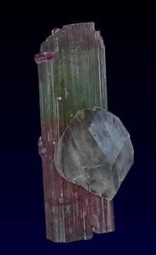 Elbaite, Quartz<br />Mina Himalaya, Gem Hill, Distrito Mesa Grande, San Diego County, California, USA<br />10.5 x 4.2 cm<br /> (Author: am mizunaka)